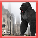 Gorilla Wild-Life APK