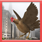 Rooster Rampage آئیکن