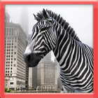 Icona 3D Wild Zebra