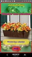 Window boxes flower syot layar 1