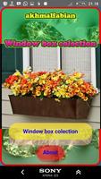 برنامه‌نما Window boxes flower عکس از صفحه