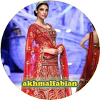 Modern Indian wedding dress icon