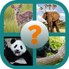 Name The Animal App icône