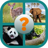 Name The Animal App