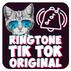 Top Tik.Tok Ringtone DJ Terbaru Original 2018 icône