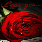 Love You Wallpaper أيقونة