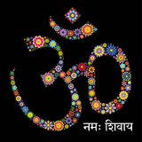 OM Live Wallpaper 圖標