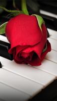 Red Rose Live Wallpaper ảnh chụp màn hình 2