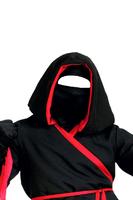 Ninja Photo Suit Cartaz