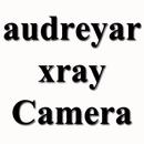 Audreyar Xray APP APK