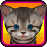 Cute Kitten - virtual pet cat to take care