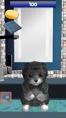 Homeless Cat : take care this virtual pet アプリダウンロード