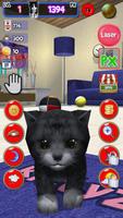 Sans-abri chat, animal virtuel capture d'écran 2