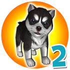 Puppies care - Virtual dog icon