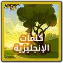 اشهر 500 كلمة في الانجليزية APK