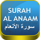 Surah Al-An'am MP3 APK