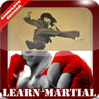 Learn Martial Arts icône