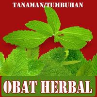Poster Tanaman Obat Herbal
