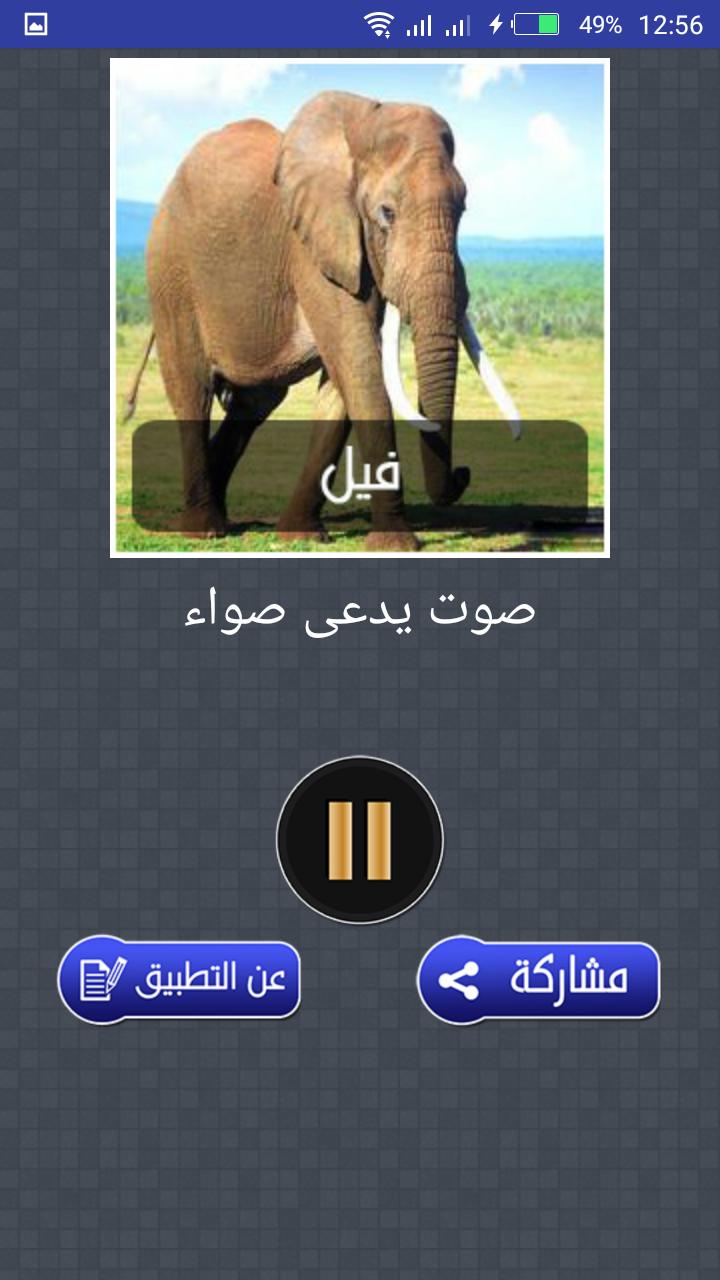 ما هو صوت الفيل بما يسمي صوت الفيل شوق وغزل