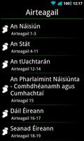 Irish Constitution screenshot 2