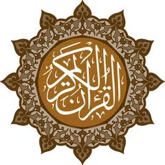Quran 16 Line Tajweedi - Hafizi Quran Complete APK download