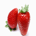 Fruit Matching