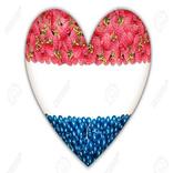 هولندا تعارف وزاج