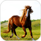 Running Horse Free LWP icône