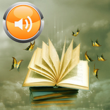 Le Rosier de Madame Husson