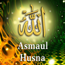 Asmaul Husna, Arti dan Khasiatnya APK