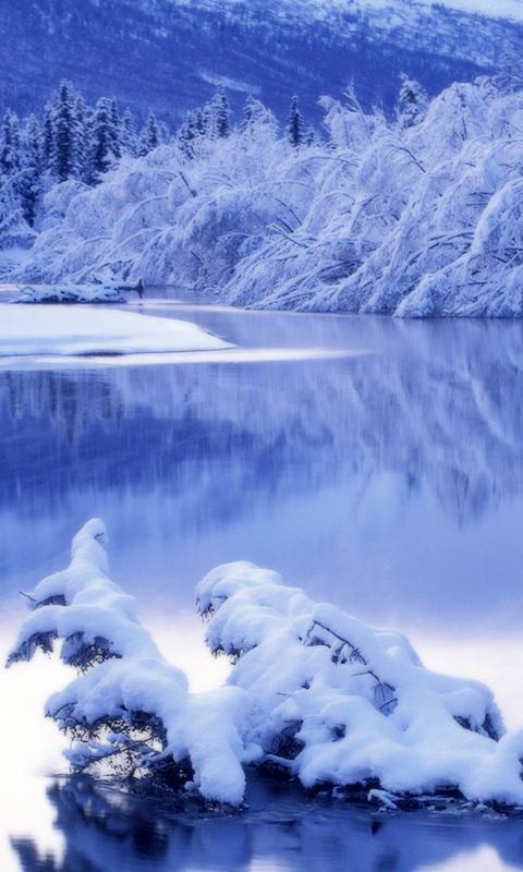 Descarga de APK de Fondo De Pantalla De Alaska para Android Descarga de APK de Fondo De Pantalla De Alaska para Android