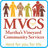 APK MVCS