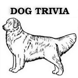 Dog Trivia icon