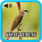 Kicau Burung TRUCUKAN GARUDA icon