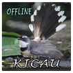 ”Kicau Burung Kipas GACOR