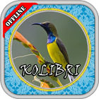 Kicau Burung Kolibri Pikat icon