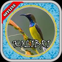 Kicau Burung Kolibri Pikat 截图 2