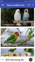 Kicau Lovebird Jawara स्क्रीनशॉट 1