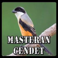 Masteran Burung Cendet JUARA Affiche