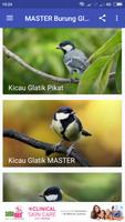 MASTER Burung Glatik PIKAT imagem de tela 1