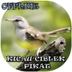 Suara Burung Ciblek Pikat APK