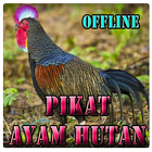 Suara Pikat Ayam Hutan آئیکن