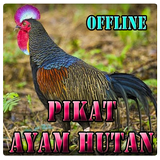 Suara Pikat Ayam Hutan-icoon