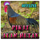Suara Pikat Ayam Hutan ícone
