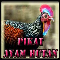 Suara Pikat Ayam Hutan capture d'écran 1