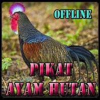 Suara Pikat Ayam Hutan ảnh chụp màn hình 2