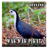Wak Wak Pikat AUDIO