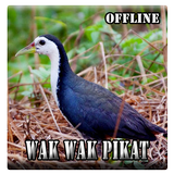 Wak Wak Pikat AUDIO icône