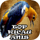 TOP Kicau Burung Anis biểu tượng