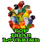 TOP Isian Lovebird icon